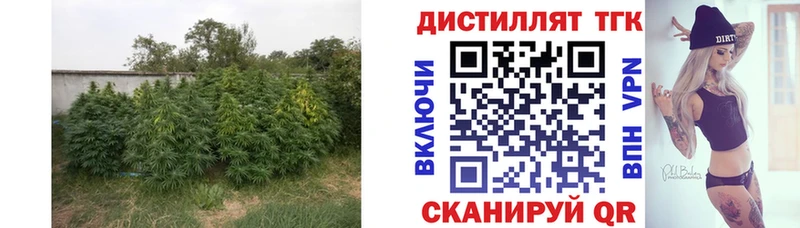 ТГК жижа  Назарово 