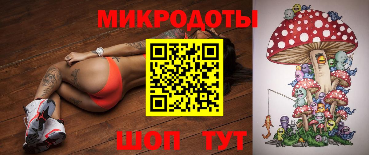 Псилоцибиновые грибы Psilocybe Назарово