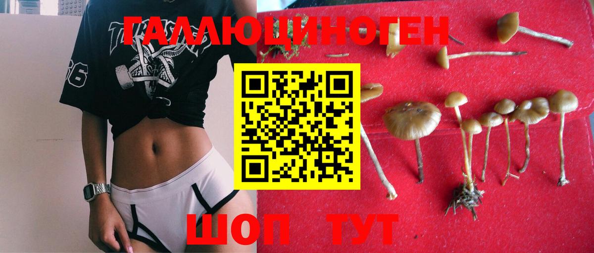 Галлюциногенные грибы GOLDEN TEACHER  Псилоцибиновые грибы Psilocybe  Вход с VPN  Назарово 